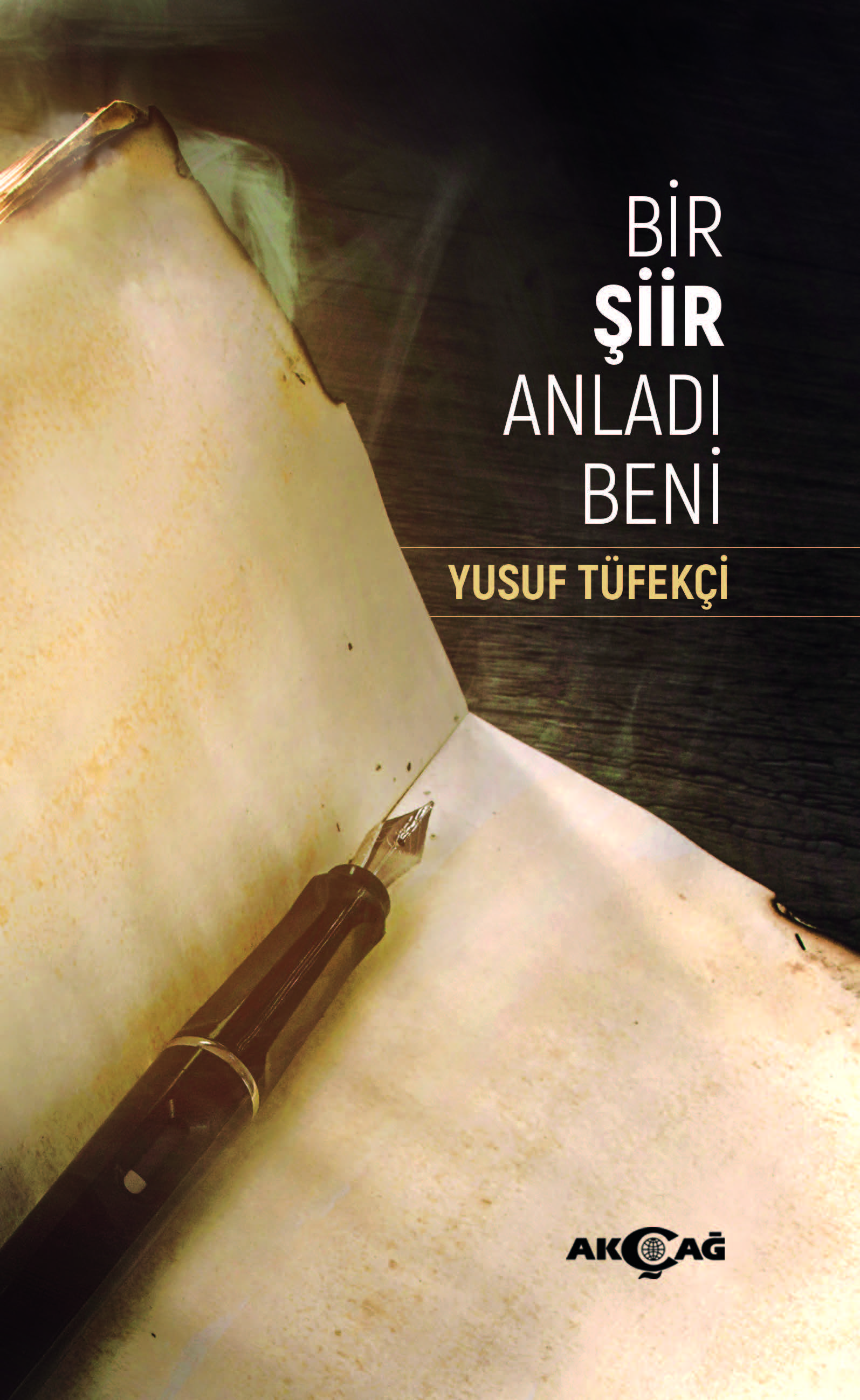 BİR ŞİİR ANLADI BENİ
