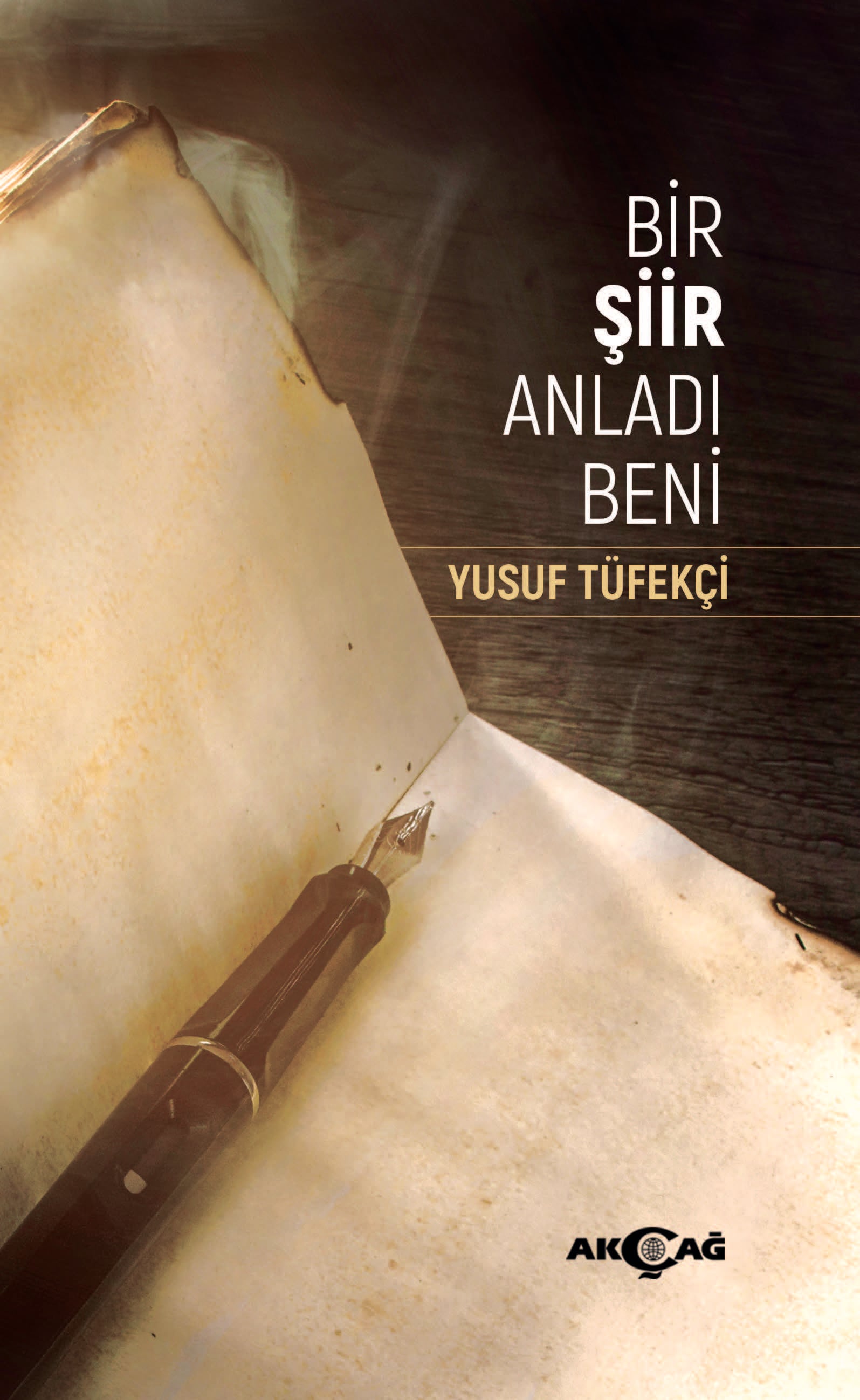 BİR ŞİİR ANLADI BENİ