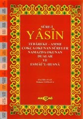 YASİN TEBAREKE AMME RAHLE ÇOKÇA OKUNAN SURELER
