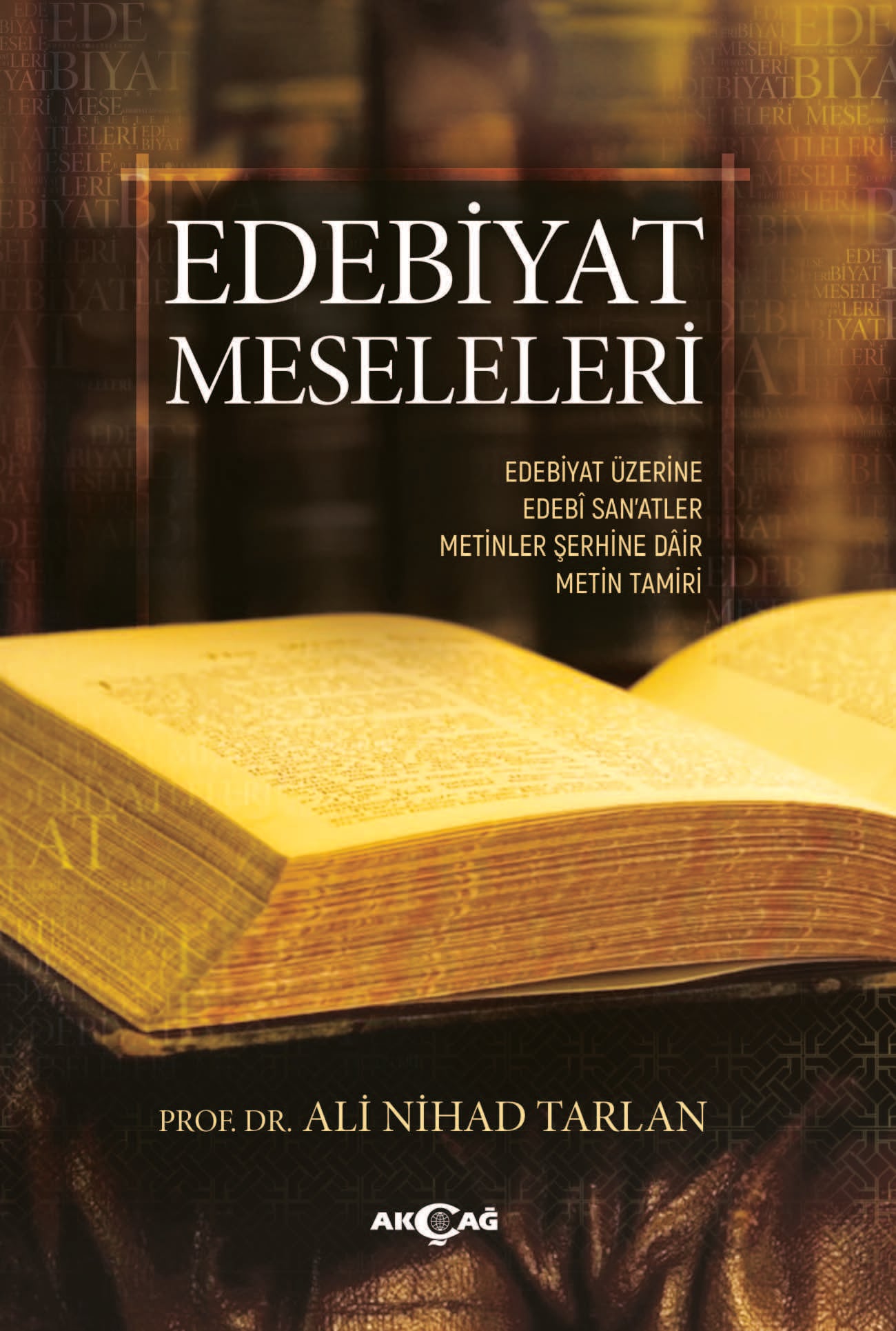 EDEBİYAT MESELELERİ